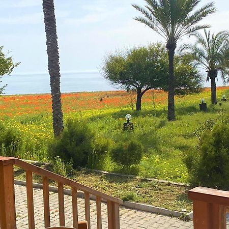 Rizokarpaso Paradise Karpaz Hotel & Restaurant מראה חיצוני תמונה
