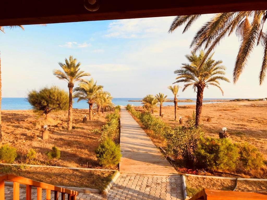 Rizokarpaso Paradise Karpaz Hotel & Restaurant מראה חיצוני תמונה