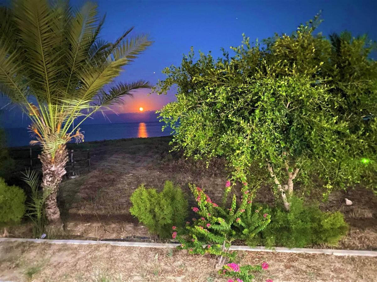 Rizokarpaso Paradise Karpaz Hotel & Restaurant מראה חיצוני תמונה